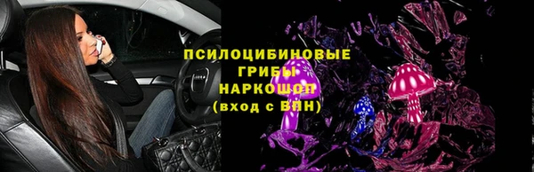 гашик Аркадак