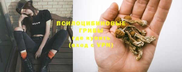 гашик Аркадак