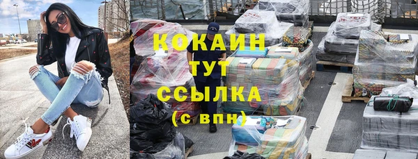 гашик Аркадак