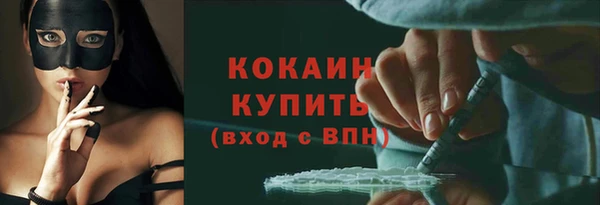 гашик Туринск