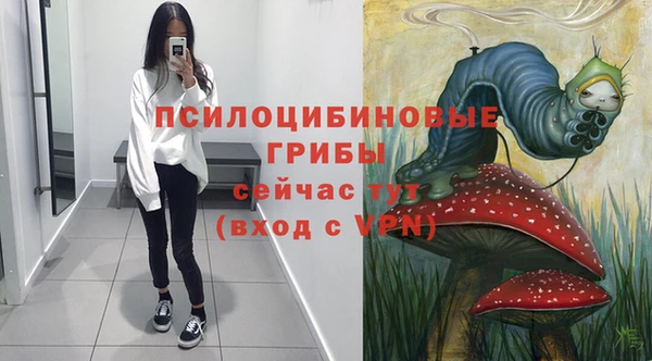 первитин Осташков