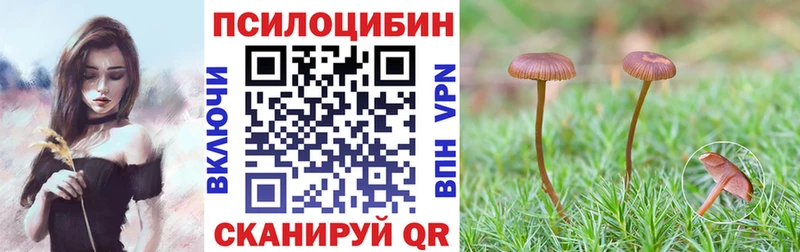 Псилоцибиновые грибы Magic Shrooms Харовск